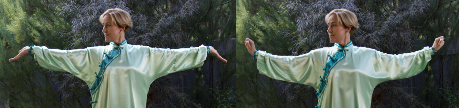 elegant crane daoyin qigong