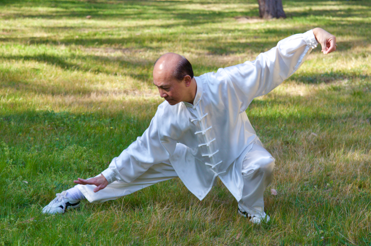 Tai Chi Snake Creeps Down, Low Form