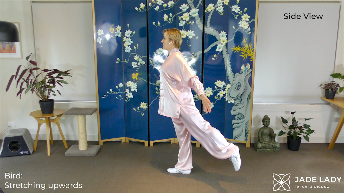 Bird Stretching Upwards